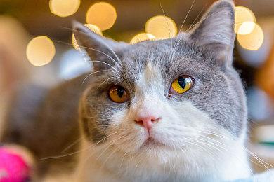 Remedy《控制2》开发预算为5000万欧元